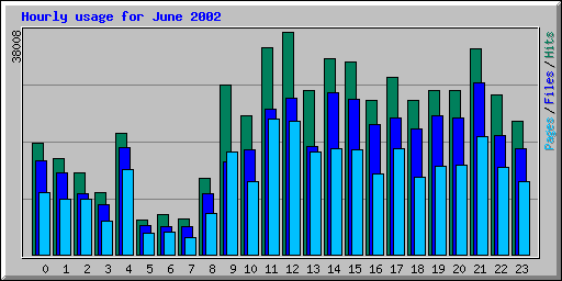 Hourly usage for June 2002