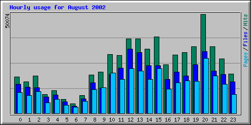Hourly usage for August 2002