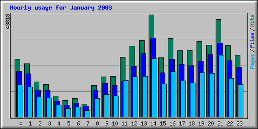 Hourly usage for January 2003